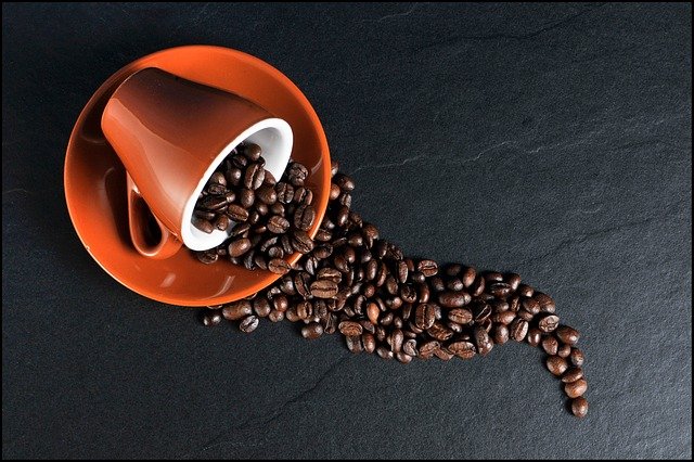 capsule café biodégradable