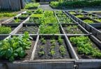 Comment construire ses carrés de potager ?
