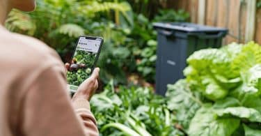 Comment trouver une location de benne à vegetaux ?