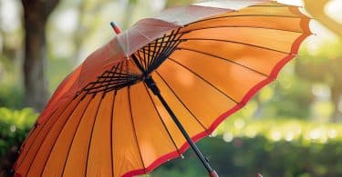 Découvrez ces parapluies de luxe originaux pour femmes