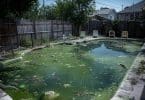 Que faire en cas d’eau trouble dans votre piscine hors-sol ?